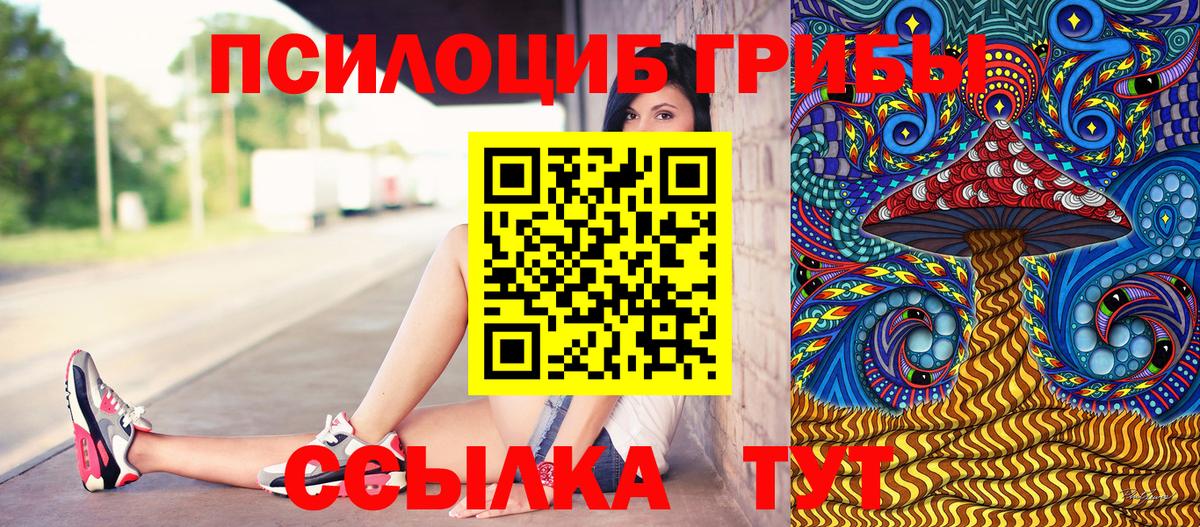 Будённовск  Псилоцибиновые грибы MAGIC MUSHROOMS  Галлюциногенные грибы прущие грибы  Вход с VPN 