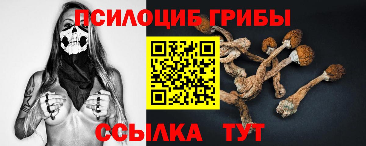 Галлюциногенные грибы Magic Shrooms  Будённовск  Галлюциногенные грибы Magic Shrooms 